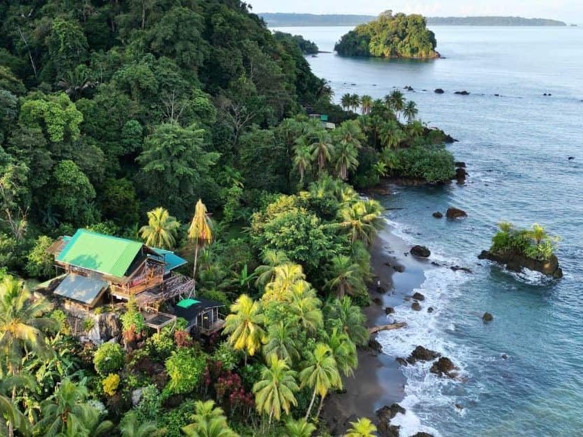 Rainforest running into the Pacific in El Chocó