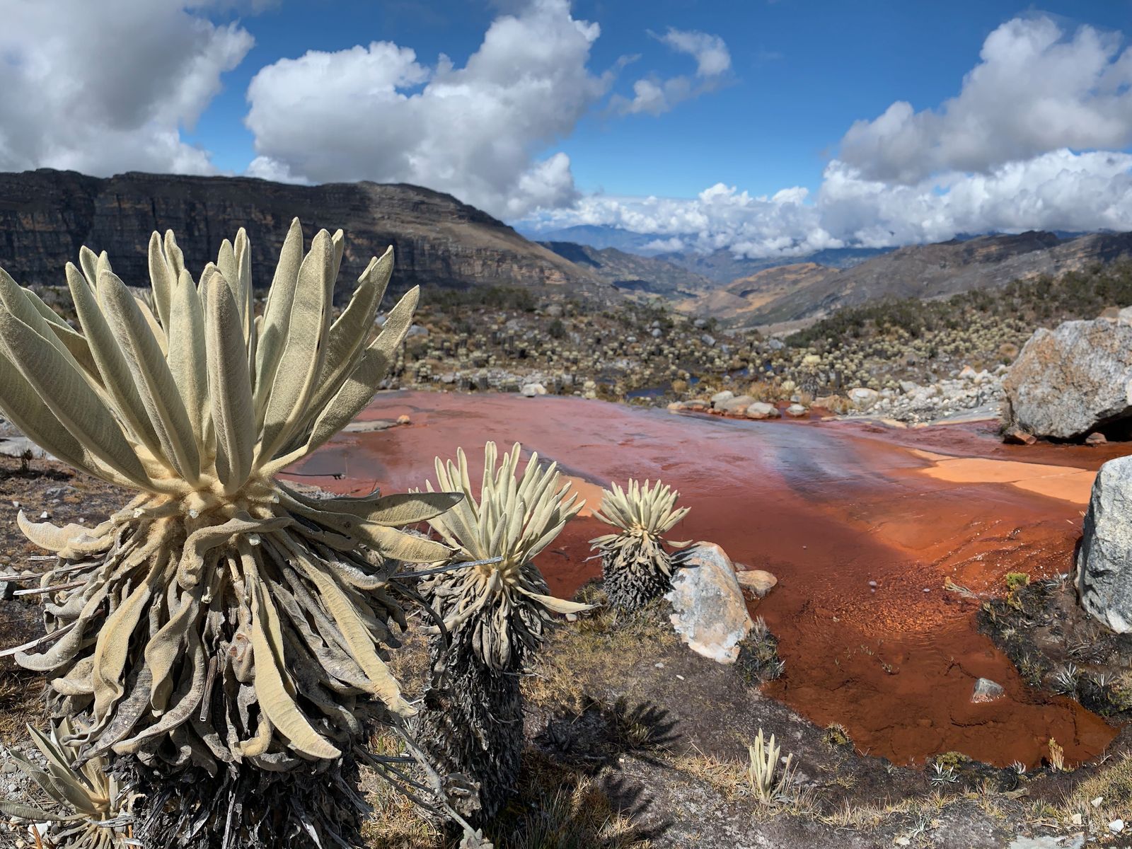 Glaciers and páramo in the Sierra Nevada del Cocuy